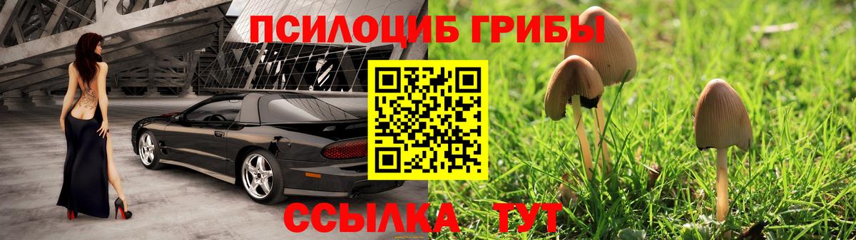 Галлюциногенные грибы мухоморы Каменск-Шахтинский