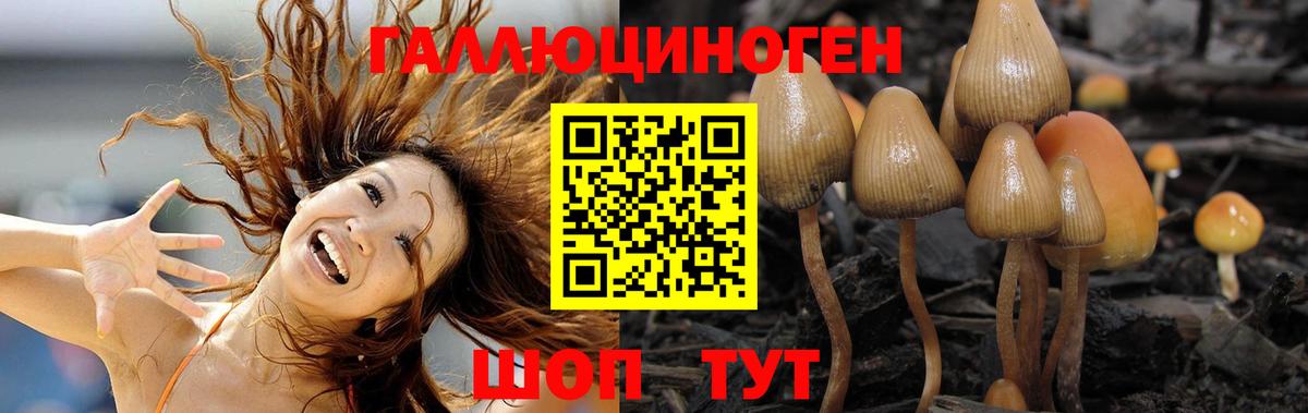 Галлюциногенные грибы GOLDEN TEACHER  Вход с VPN  Каменск-Шахтинский  Галлюциногенные грибы прущие грибы 